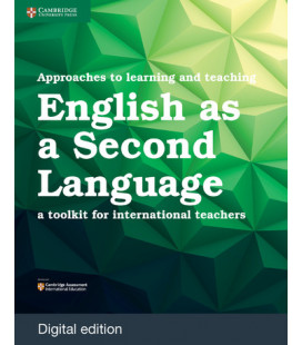 International Approaches to Teaching and Learning for First Lang Teaching