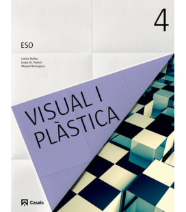 Visual i Plàstica 4